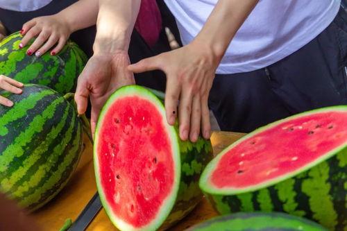 大学操场吃瓜,校园生活里的闲聊时光  第2张