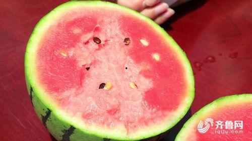 夏天解锁吃瓜,解锁清凉吃瓜新时尚  第1张