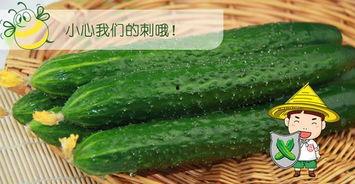 大家吃瓜网,大家吃瓜网带你领略明星幕后故事  第2张