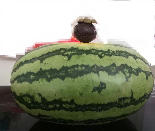 大家吃瓜网,大家吃瓜网带你领略明星幕后故事  第3张