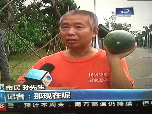 泰山吃瓜群众事件,一场网络舆论的风暴与反思  第1张