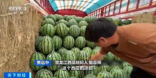 曹县吃瓜了,揭秘网络热点的背后真相 第2张 曹县吃瓜了,揭秘网络热点的背后真相 第2张