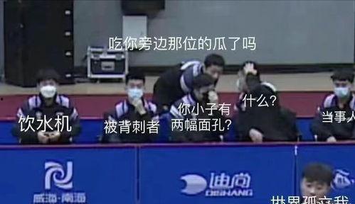 国乒线上吃瓜,一场别开生面的“吃瓜”盛宴 第3张 国乒线上吃瓜,一场别开生面的“吃瓜”盛宴 第3张