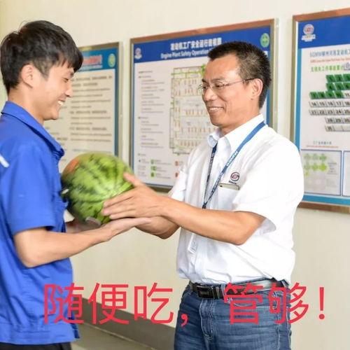 飞扬吃瓜,揭秘娱乐圈那些不为人知的幕后故事 第1张 飞扬吃瓜,揭秘娱乐圈那些不为人知的幕后故事 第1张