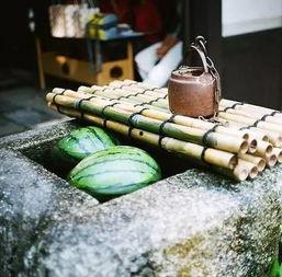 拾瓜吃瓜 第3张 拾瓜吃瓜 第3张