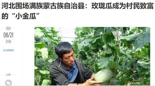 吃瓜新闻有哪些,吃瓜新闻背后的真相与幕后故事 第2张 吃瓜新闻有哪些,吃瓜新闻背后的真相与幕后故事 第2张