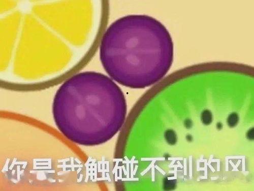 吃瓜大赛音频素材,笑料百出,趣味横生 第2张 吃瓜大赛音频素材,笑料百出,趣味横生 第2张