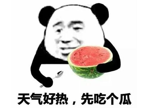 吃瓜吃瓜子表情包,吃瓜吃瓜子表情包大集合 第2张 吃瓜吃瓜子表情包,吃瓜吃瓜子表情包大集合 第2张